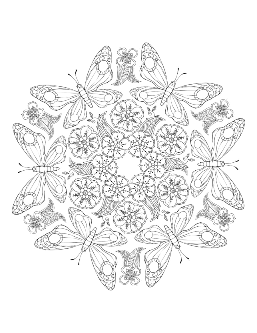 Butterfly Detailed Mandala Pattern For Adults Tracing Worksheets Pdf Free Vectors